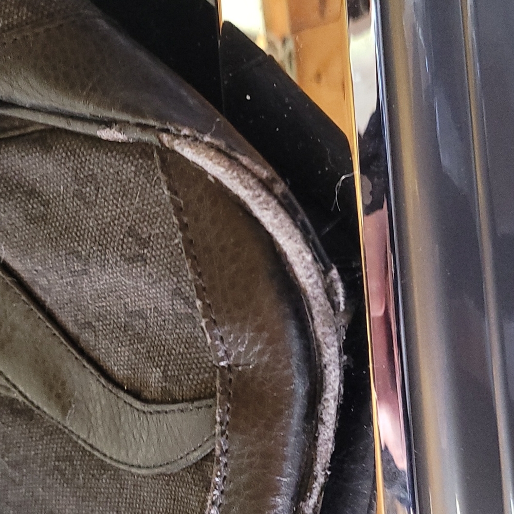 Lululemon Computer Bag. - image 8